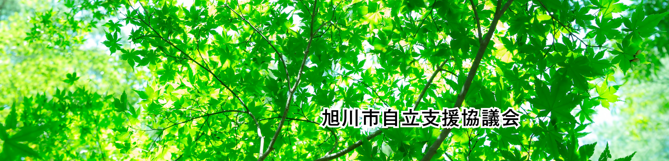 旭川市自立支援協議会